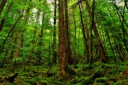 世界举重青年赛：新秀发挥带动国家队更新，世界举重青年锦标赛